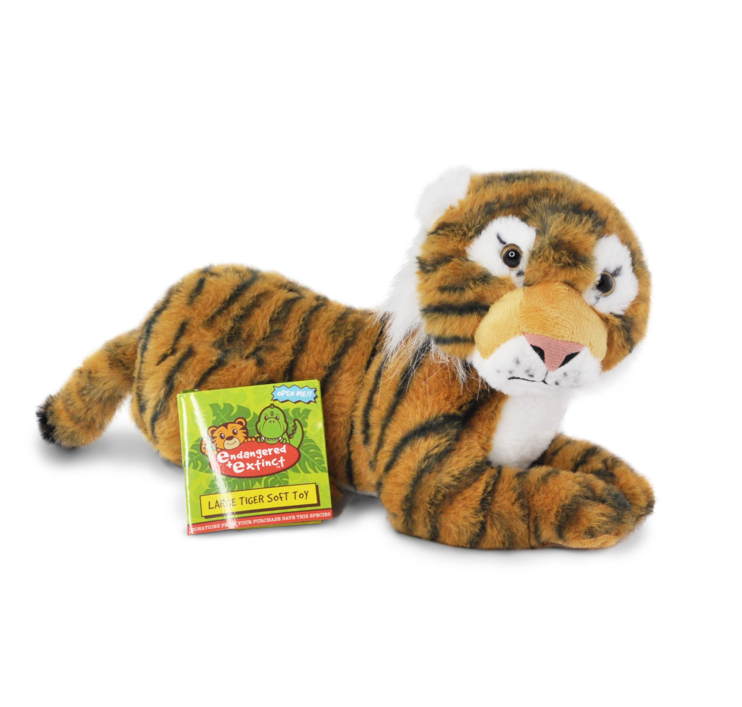 Sumatran Tiger – DinoWorld
